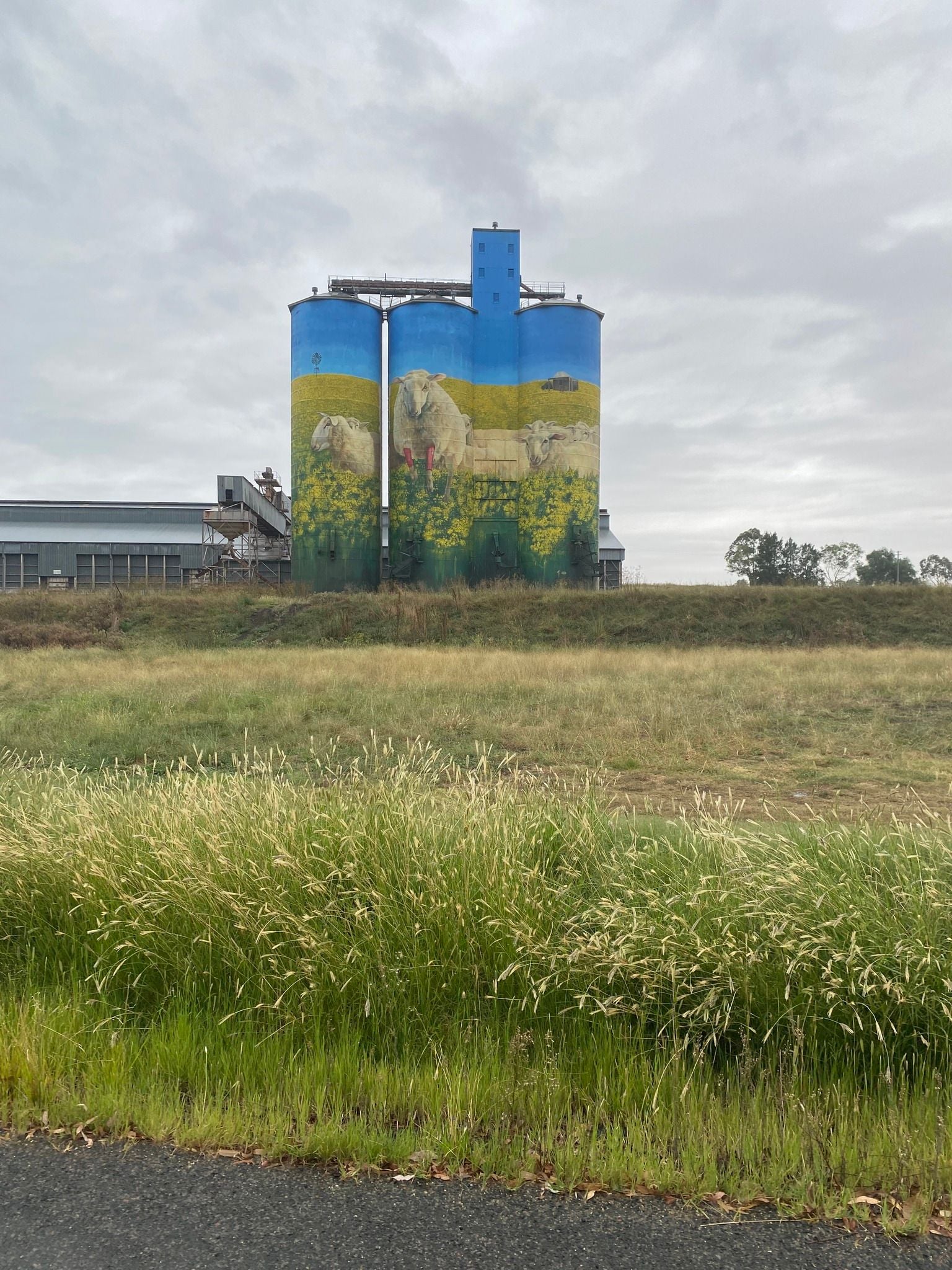 Dubbo Zoo 2025 Image -67de04924ea1e